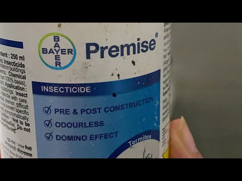 Best termite Proofing