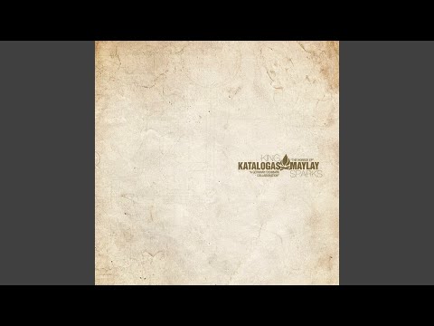 Snafu (Remix Version) (feat. DJ White Shadow of Norway)