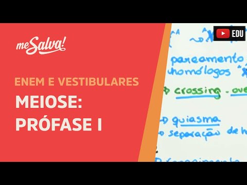 Me Salva!  CIT27 - Citologia - Meiose: Prófase I