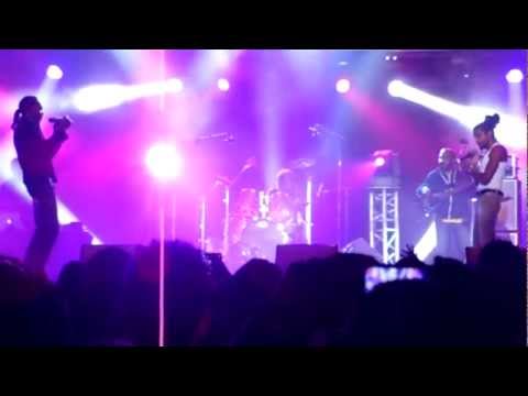 KAF MALBAR ROLIAN MIEL VERT 2012