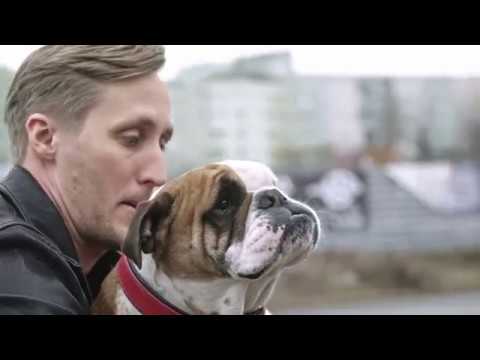 OTO 2017 | Žrebovanie auta (Sajfa & Molly)