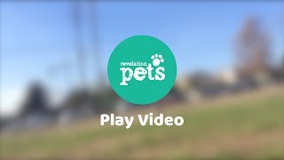 Revelation Pets video