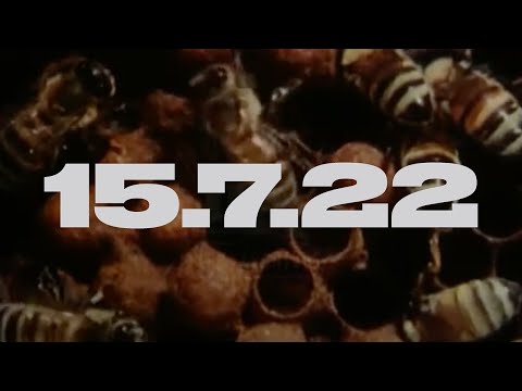 HONEY 15.7.22
