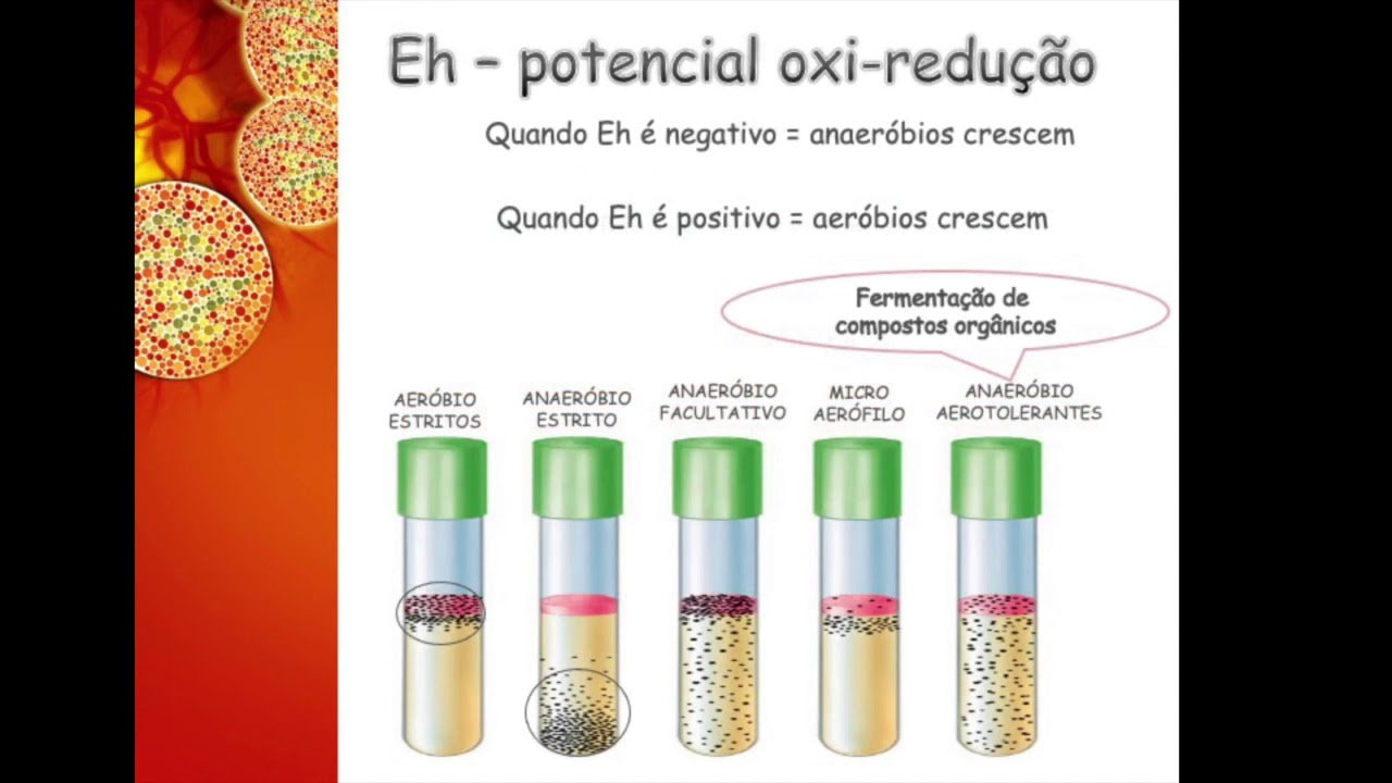 FATORES INTRINSECOS E EXTRINSECOS