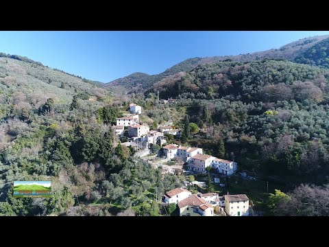 TRA LE SPONDE E LE PENDICI  8 - di Paolo Del Ry