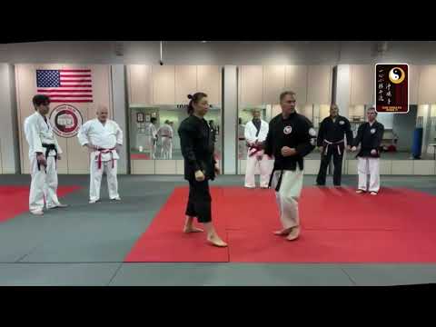 Bassai Dai Bunkai – Shihan Kevin Holton