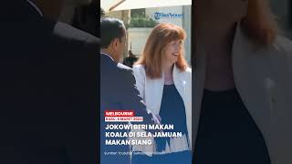 Momen Jokowi Beri Makan Koala di Sela Jamuan Makan Siang KTT Khusus ASEAN - Australia