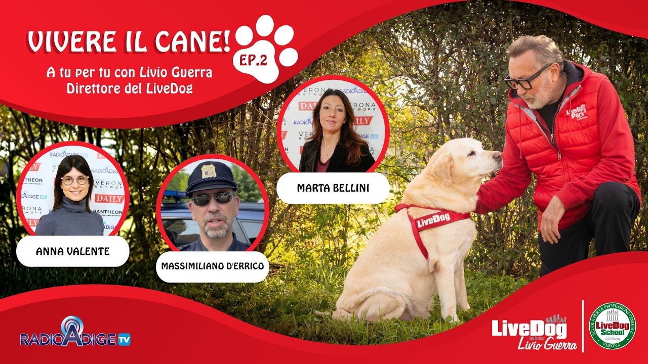 Descrizione dell'immagine