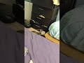 Grey Cat Tried To Get Along With Tabby Grumpy Cat