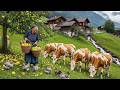 Farmers Harvesting Fruits Vegetables And Caring For Livestock Day In The Beautiful Countryside