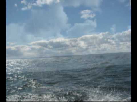 Bassface Sascha & Franksen - Here 4 U (Original Mix)