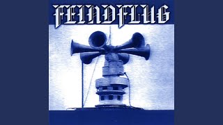 Feindflug
