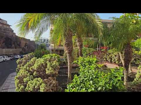 Beautiful small garden in Tenerife. +26°C 9:41 September 30, 2023. #Tenerife #garden #palms