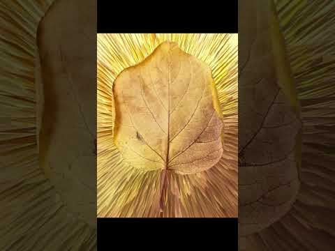 Heroes of Islam -  Umar Ibn Al-Khattab R.A