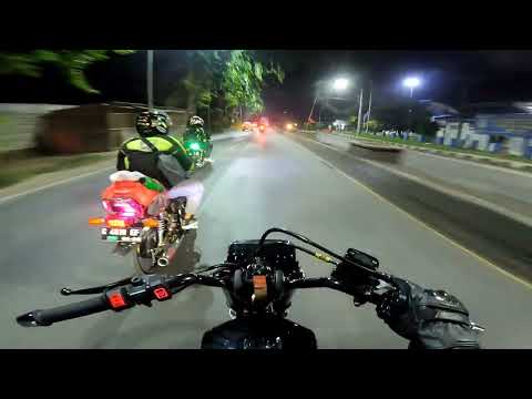 PANTURACE LAWAN MAIN ❗❗