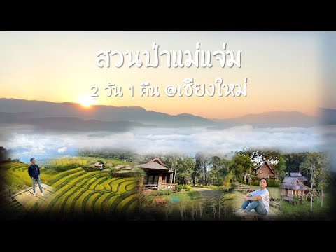 สวนป่าแม่แจ่ม