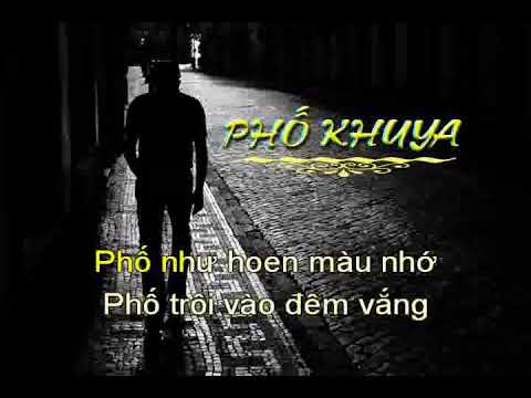 Phố khuya - Thụy Long