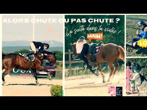 Alors chute ou pas chute ?