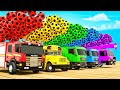 Baby Shark Wheels On The Bus Bingo Song Soccer Ball Shaped Wheels Baby Nursery Rhymes Kids Songs