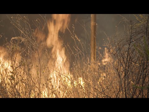 California wildfires morning update | August 24, 2020