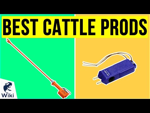 YouTube video about: What is a cattle prod?