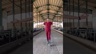 SEVDİĞİN İŞİ YAP, YAPTIĞIN İŞİ SEV ❤️ #veteriner #veterinary