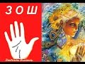 В здоровом теле - здоровый дух! Введение в ЗОШ 