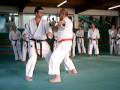 Bunkai Tekki GRUSS