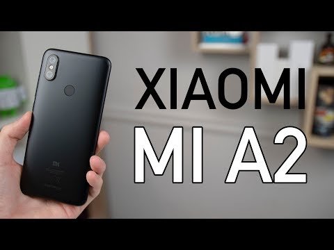 mit jelent a pinwormok