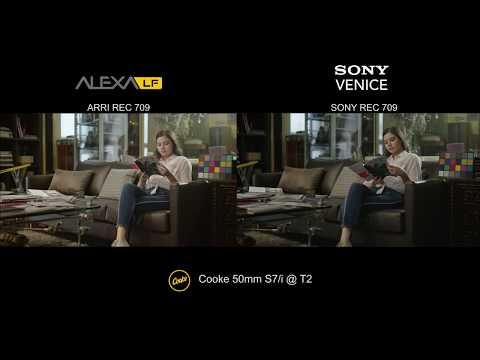 Full frame Camera Comparison