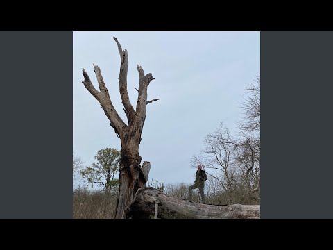 A Biological Imperative