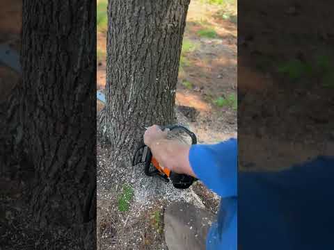 Is the Stihl MS500i the BEST Chainsaw on the market? 🧐