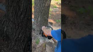 Download lagu Is the Stihl MS500i the BEST Chainsaw on the market? 🧐 mp3 Download lagu Is the Stihl MS500i the BEST Chainsaw on the market? 🧐 mp3