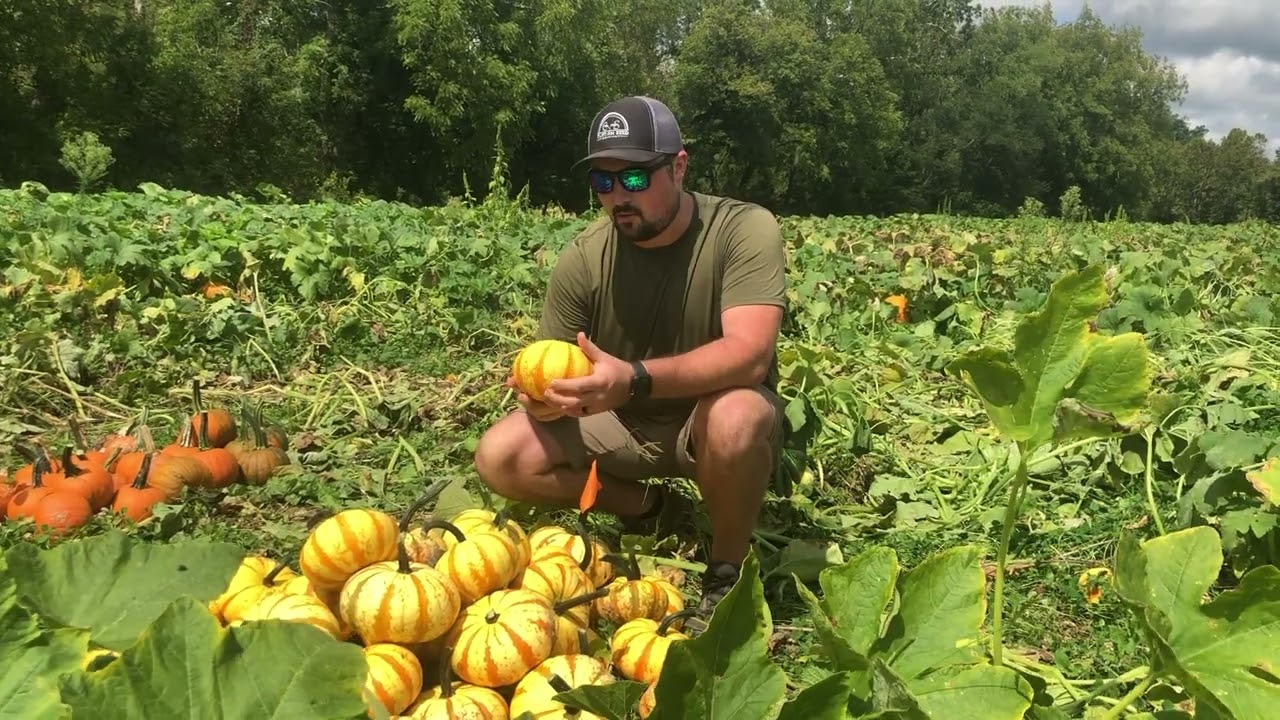 Blaze Pumpkin with Logan Cecil
