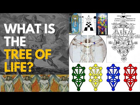 What is the Tree of Life?
