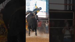 MONTARIA DO CAMPEÃO DE SERRA AZUL - FREDSON CHAVES DE CESÁRIO LANGE/SP #shorts