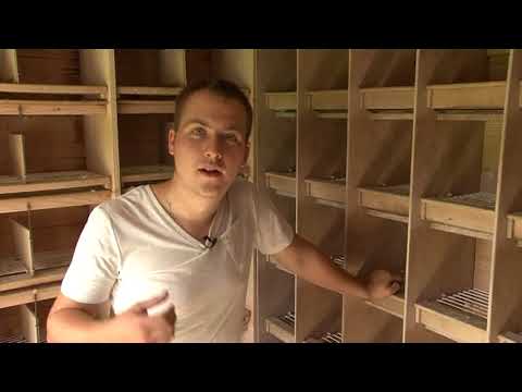 Faber Roland i Denis - Hamburg