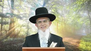 דרך השם רמח"ל I חלק ב - פרק 4, ישראל ואומות העולם I הרה"ג יוסף הללויה שליט"א I שיעור 108