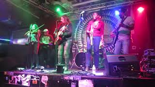 Sweet Little Bloodhound Performing At The Shrine