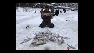 Рыбалки на ямале зимой