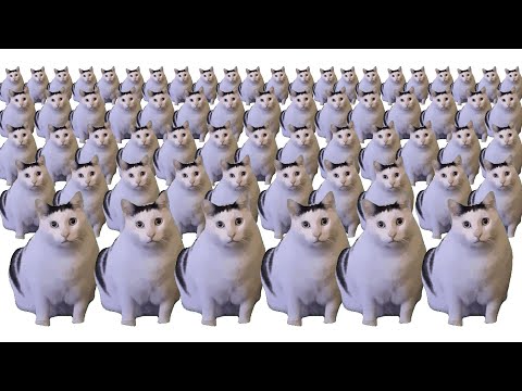 huh cat x10000000