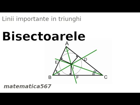 BISECTOAREA