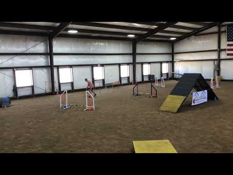 Hooligan Standard ST/P1 50 x 60 Event 112234 Course 2 of 2