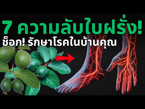 Revealing the 7 best secrets of guava leaves! Transform your health from your backyard.