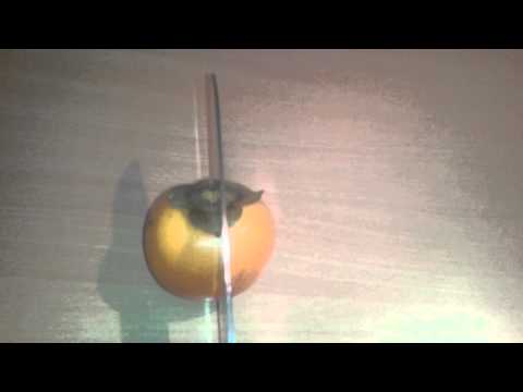 How to cut a Kaki in half -Tutorial #15