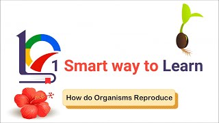Class 10 How do Organisms Reproduce | 8.1.1 | The importance of variation