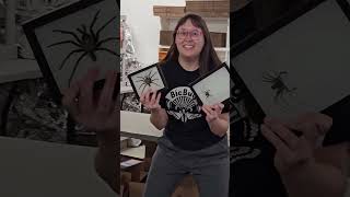 Download lagu We're Entomologists mp3 Download lagu We're Entomologists mp3