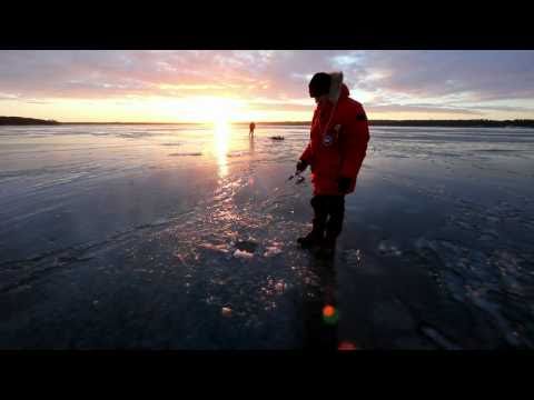 Isfiskeri efter aborrer på Esrum Sø