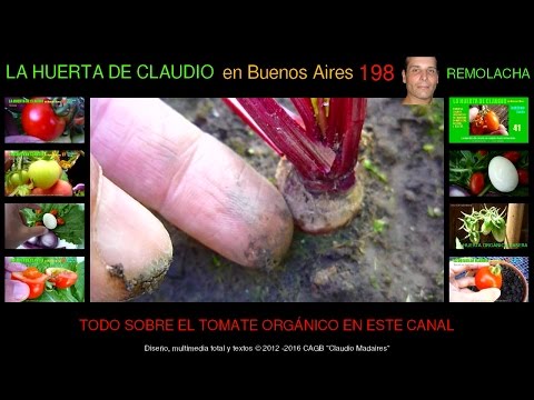 download lagu mp3 mp4 Cosecha Natural, download lagu Cosecha Natural gratis, unduh video klip Cosecha Natural