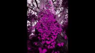 CANCIÓN PARA CARITO - Mercedes Sosa